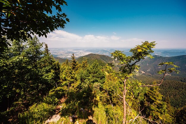 Cresta sobre las montañas de Eslovaquia mala fatra Senderismo en el paisaje de las montañas de Eslovaquia Viajero turístico Parque nacional de Mala Fatra Pico de Suchy