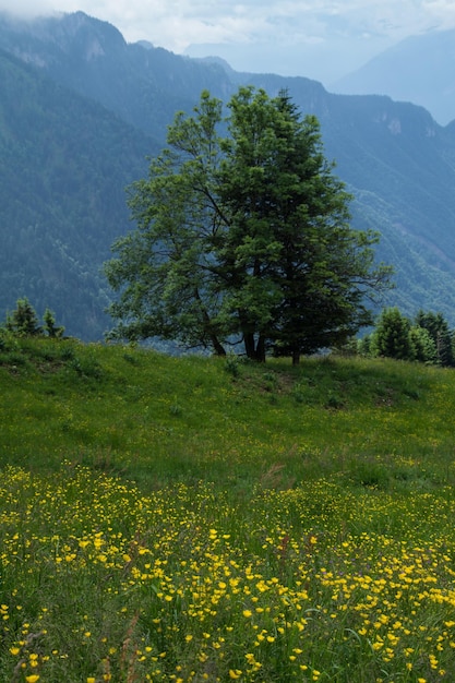 Creux de la ciergevaudswiss