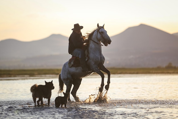 Cría de caballos en el agua Kayseri Turquía