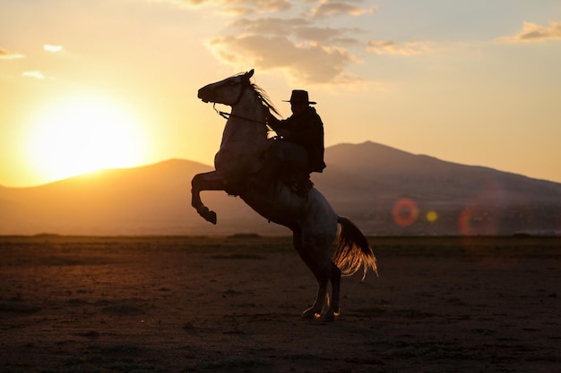 Criação de cavalos no campo Kayseri Turquia