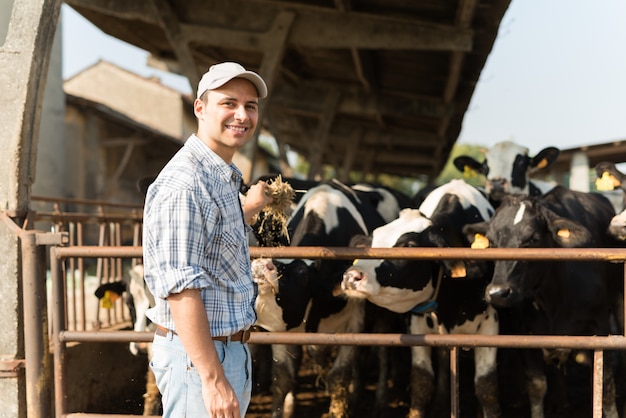 Criador frente a sus vacas