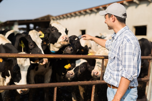 Criador na frente de suas vacas