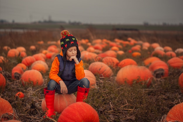 Criança adorável que tem o divertimento com a abóbora no pumpkinpatch na exploração agrícola.