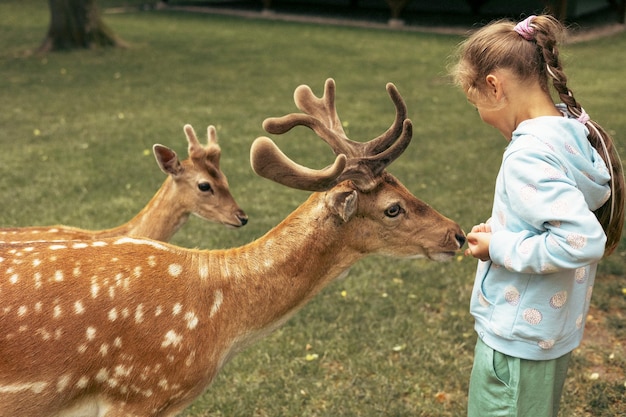 Criança alimentando veados selvagens no parque de safári ao ar livre Menina observando renas em uma fazenda Criança e animal de estimação Viagem de verão em família ao jardim zoológico