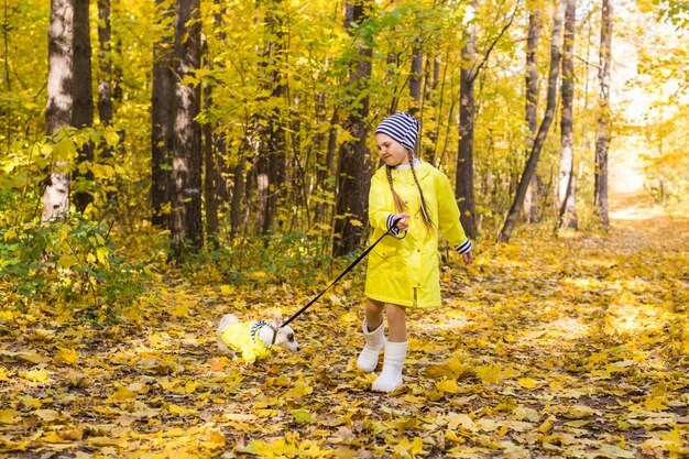 Criança brinca com Jack Russell Terrier na floresta de outono. Passeio de outono com cachorro, crianças e animal de estimação