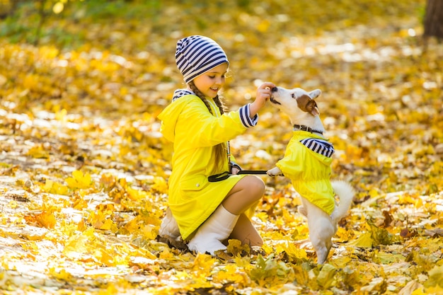 Criança brincando com Jack Russell Terrier na floresta de outono