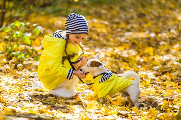 Criança brincando com Jack Russell Terrier na floresta de outono