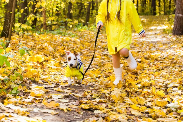 Criança brincando com Jack Russell Terrier na floresta de outono