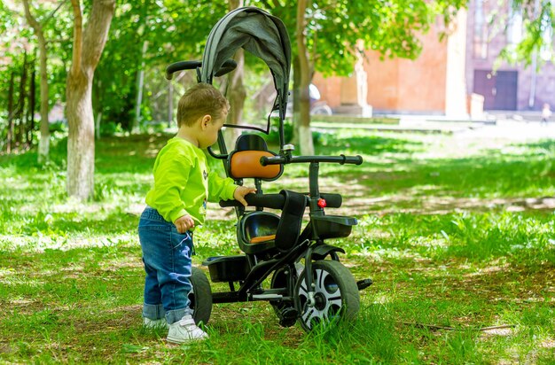 Criança brincando no jardim Criança Brincando no playground Menino bonito