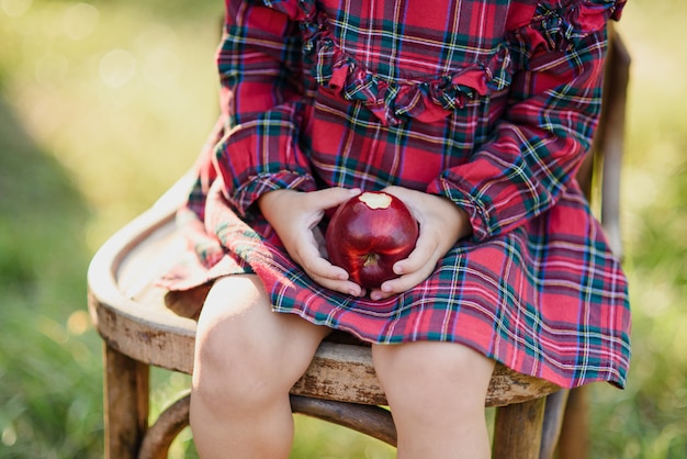 Criança colhendo maçãs na fazenda no outono. menina brincando no pomar de árvores de maçã. nutrição saudável.