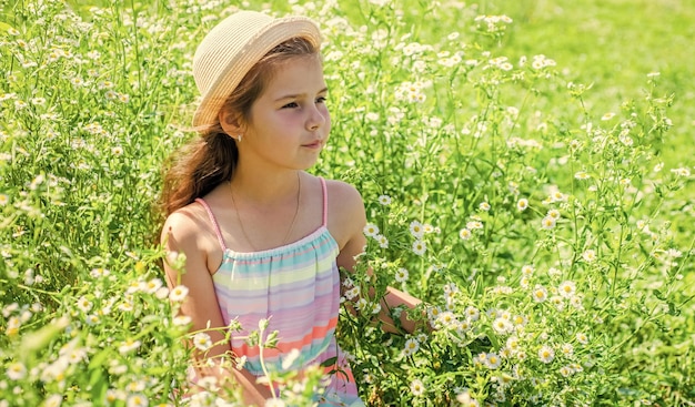 Criança com aparência de beleza usa chapéu de sol relaxando no campo de flores de camomila no dia ensolarado da paisagem de verão