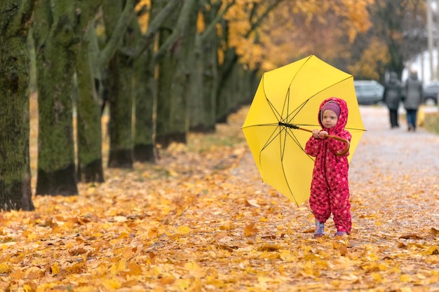 Criança com guarda-chuva amarelo está andando no parque de outono Folhagem amarela sob os pés Andando sob chuva