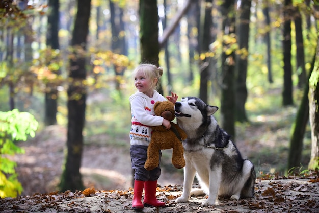 Criança com husky e ursinho de pelúcia no ar fresco ao ar livre, brincar com um cachorro na floresta de outono