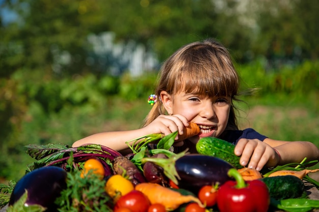 Criança com legumes no jardim Foco seletivo
