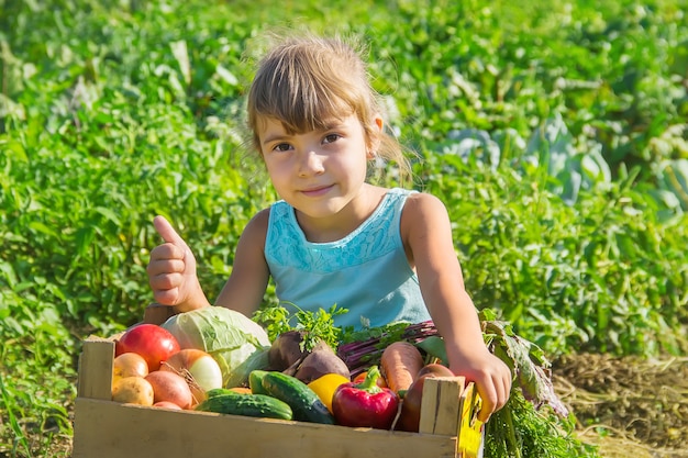 Criança com legumes no jardim.