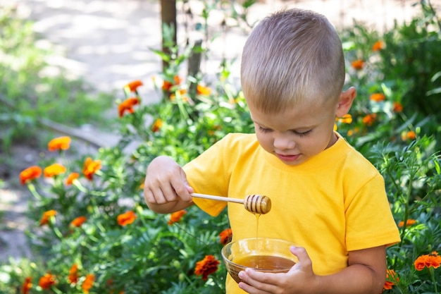 Criança come mel no jardim. Natureza