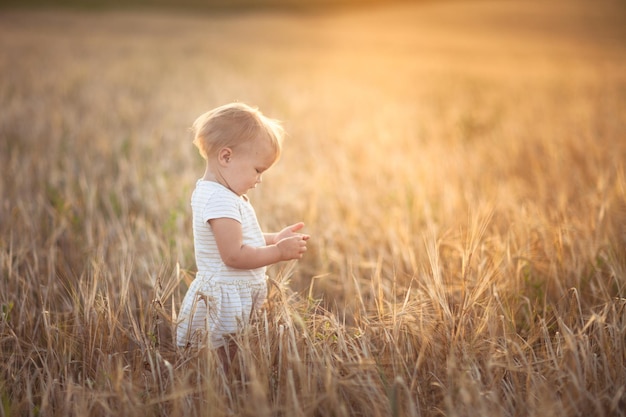 Criança criança no campo de trigo no estilo de vida por do sol