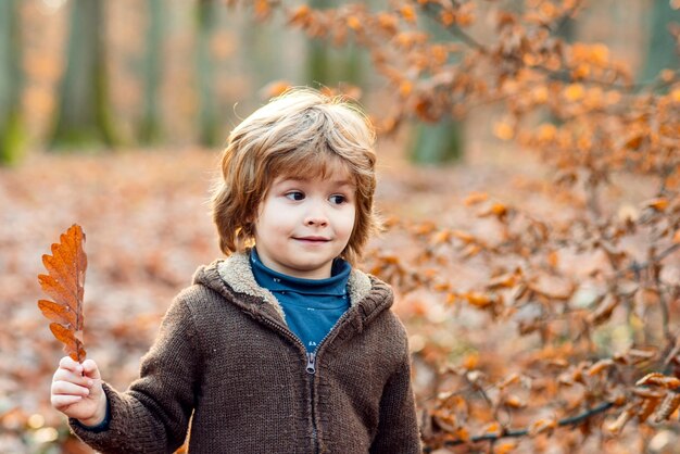 Criança de outono ao ar livre curtindo a natureza Retrato de crianças com cara engraçada em folhas de bordo amarelas