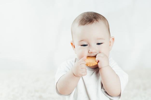 Criança de peito encantador senta e lambe biscoitos, coçando os dentes