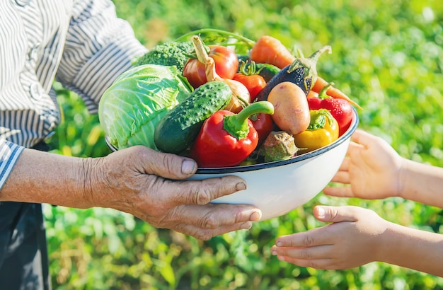 Foto criança e avó no jardim com legumes nas mãos.