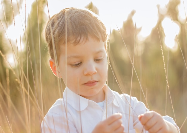 Criança em campo brincando com espinhos ao pôr do sol de verão