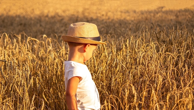 Criança em um campo de trigo abraçando uma colheita de grãos. Natureza, foco seletivo