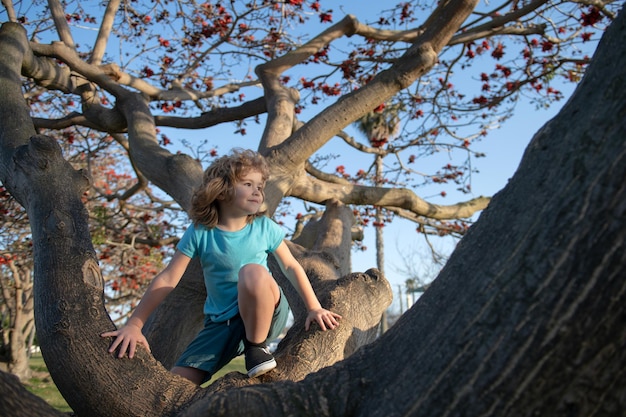 Criança em um galho de árvore Criança sobe em uma árvore