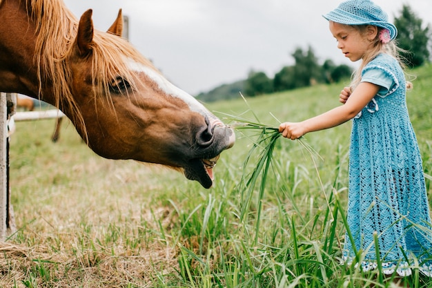 Criança engraçada assustada pequena no vestido azul, alimentando o cavalo selvagem com grama.