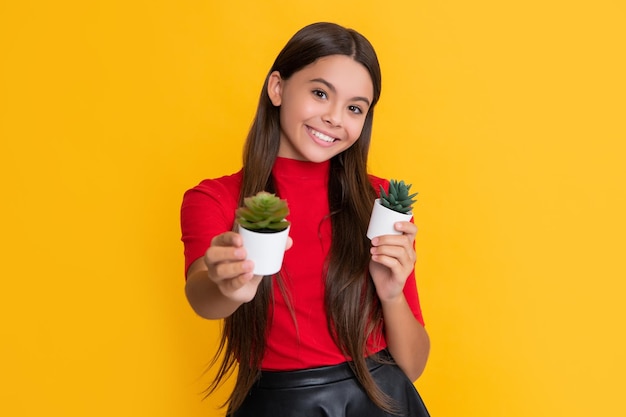 Criança feliz com cacto em vaso em fundo amarelo