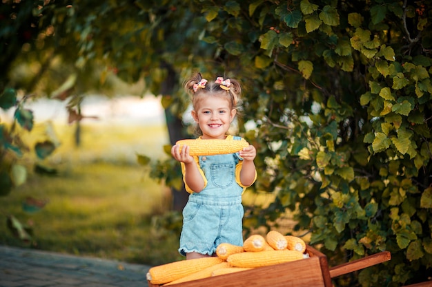 Criança feliz com espigas de milho amarelo no carrinho de mão. Linda menina com espigas de milho. Criança Feliz. Colheita de outono no carrinho de mão de madeira.