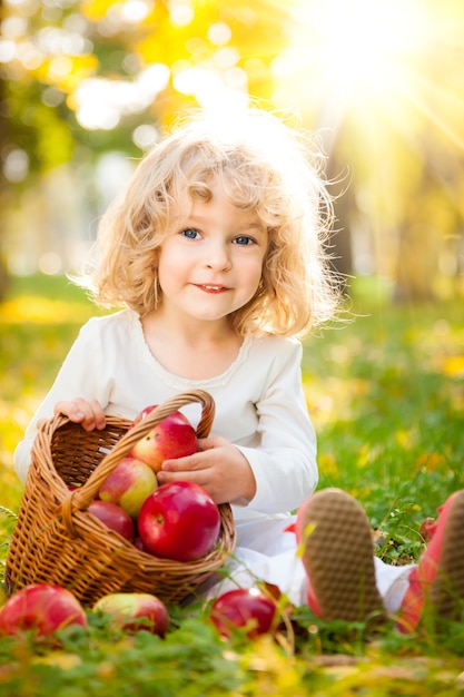 Criança feliz com uma cesta de maçãs vermelhas no parque outono contra um fundo dourado e ensolarado