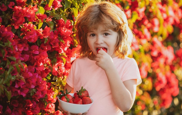 Criança feliz come morangos garoto bonitinho comendo morango no verão ao ar livre