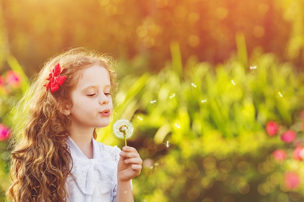 Criança feliz, menina, soprando, dandelion