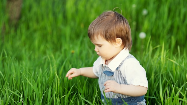 Criança feliz no elegante macacão azul com lindos olhos azuis. jogos engraçados na grama alta em um parque florido cheio de vegetação no contexto de uma macieira.