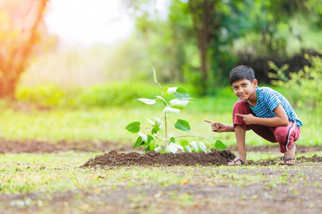 criança indiana, plantando uma árvore