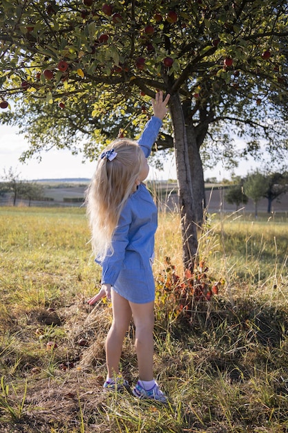 Foto criança loira alcança uma árvore para colher uma maçã no jardim