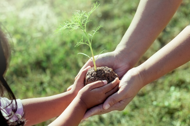 Criança, menina, pai, segurando, jovem, planta, mãos, junto