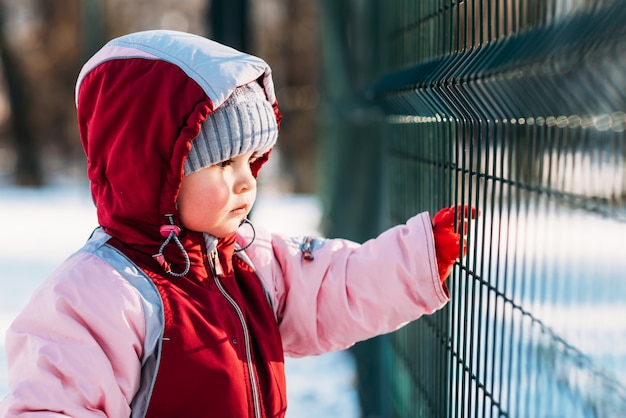 Criança olha através das grades no inverno