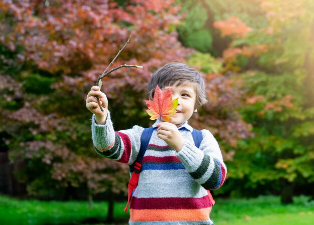 Foto criança olhando através de folha de bordo laranja menino segurando pauzinhos de madeira brincando ao ar livre no outono