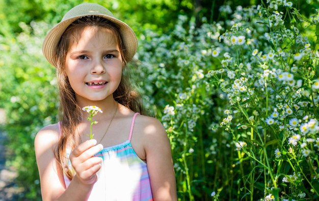 Criança pequena com cabelo loiro com chapéu de sol segurar ramo de flores de camomila para mães e dia das mulheres ou aniversário de aniversário na paisagem floral natural de dia de verão, presente.