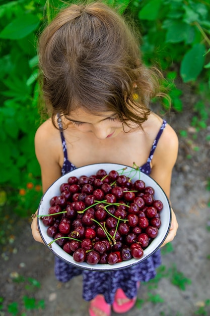 Criança segura uma tigela com cerejas no fundo do jardim