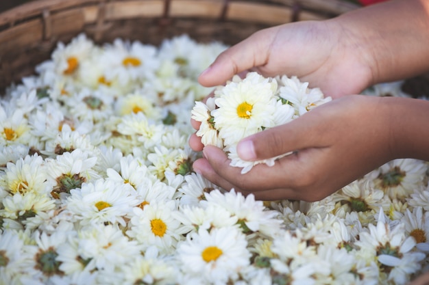 Criança, segurando, bonito, flores, cesta, flor