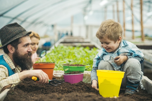 Criança sorridente brincando com o papai na estufa. Homem barbudo de colete azul, camisa amarela e chapéu olhando para seu filho, mamãe verificando plantas com lupa. Conceito de jardinagem ecológica