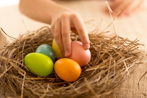 Criança tirando ovos de Páscoa pintados do ninho