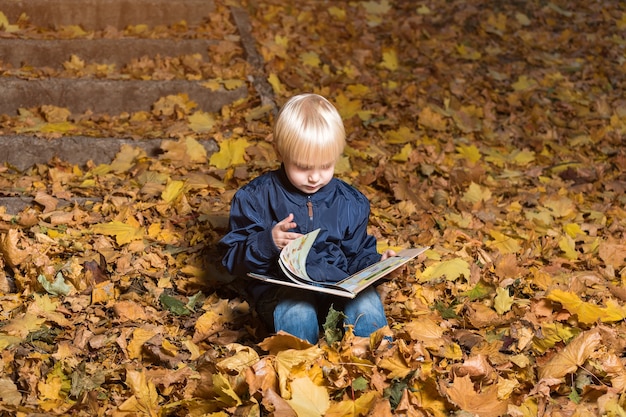 Criança vira as páginas do livro. Rapaz senta-se na floresta de outono e lendo.