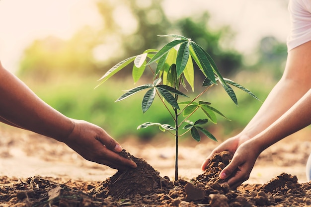 Crianças ajudando a plantar árvores no jardim para salvar o mundo. conceito de eco ambiente