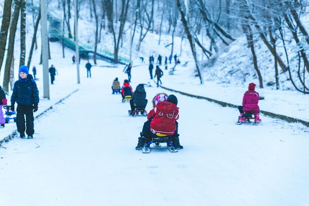 Crianças andando de trenó no dia de inverno no parque da cidade
