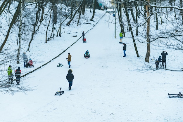 Crianças andando de trenó no dia de inverno no parque da cidade