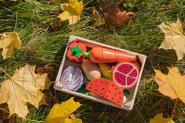 Crianças brincam com legumes de madeira na grama verde fecham o conjunto infantil de legumes de madeira em caixa