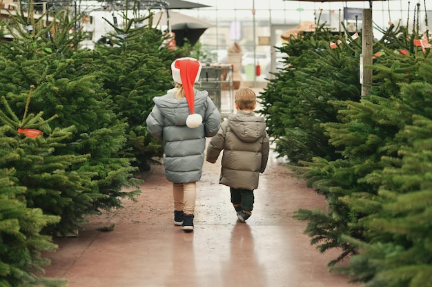 Crianças com bonés vermelhos escolhem uma árvore de Natal em uma loja